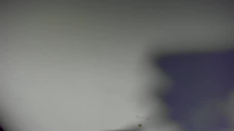 DANIEL online show from September 12, 9:00 am