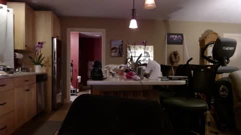 Snapshot of danikawhite69 chatting on February 28, 7:26 am DanikaWhite69 online show from February 28, 7:26 am