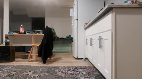 danimal5000 online show from November 9, 3:32 am