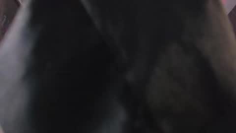 Danna online show from February 24, 2:53 pm