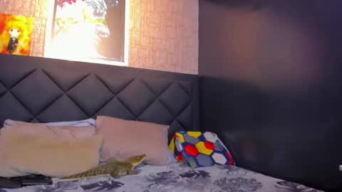 Dany online show from October 20, 2:33 pm