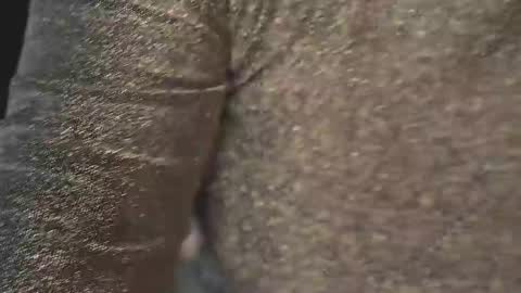 DarkaLure online show from February 24, 1:47 pm