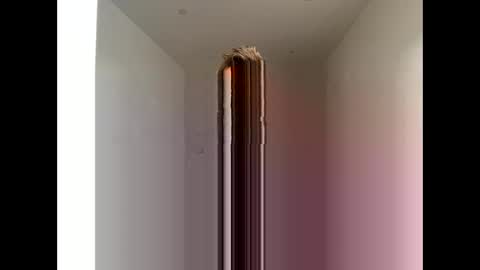 davepil29 online show from October 21, 12:10 pm