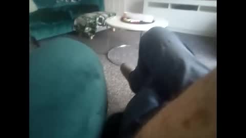 davf76 online show from January 12, 10:00 am