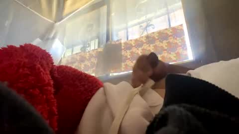 davzsoher online show from January 6, 3:19 pm