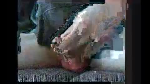 robert online show from February 1, 9:17 am