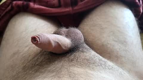 LilRoach online show from December 1, 3:21 pm