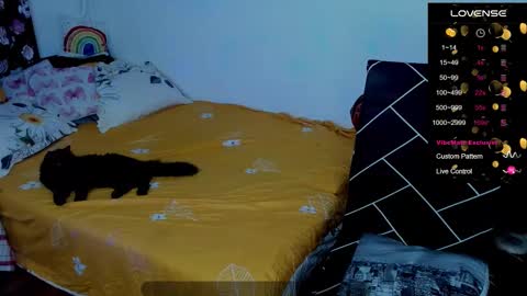   ----  ---- online show from October 19, 7:07 pm