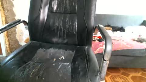 DennisXCarol online show from February 25, 9:13 am