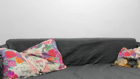 Snapshot of devinesex chatting on February 3, 7:07 am Misha online show from February 3, 7:07 am