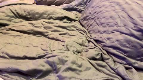 dicapri91 online show from January 17, 5:32 am