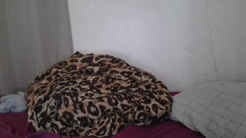 Sofie online show from January 22, 6:31 am