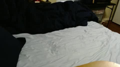 dino695802 online show from September 11, 10:00 pm