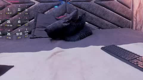 MIA  online show from December 19, 12:33 pm