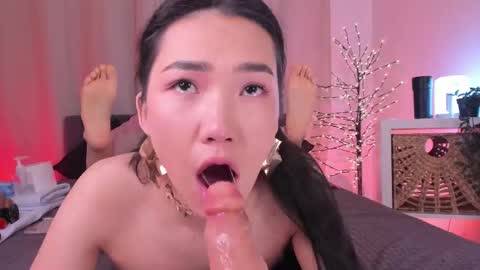 AKITA MEW MEW Follow  online show from March 24, 8:31 am