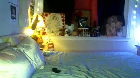 Snapshot of dixie_doll chatting on October 14, 7:55 am Dixie Doll online show from October 14, 7:55 am