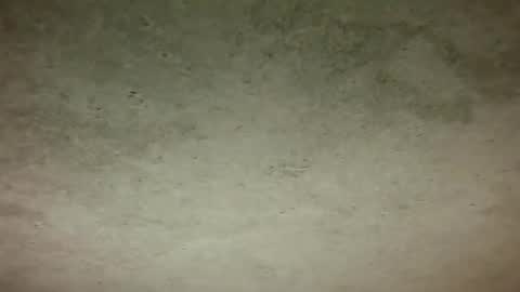 Djo online show from October 26, 7:24 pm