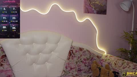 djokonda online show from February 8, 10:29 am