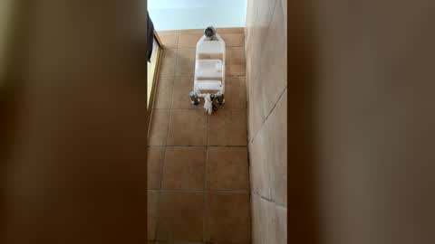 Liquor D online show from March 15, 11:19 pm