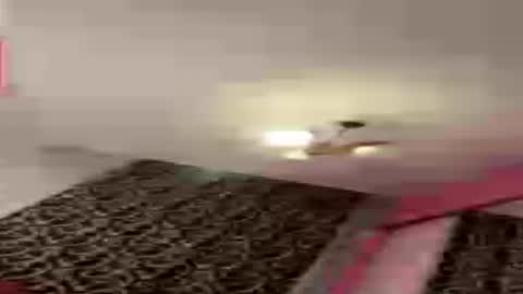 dollpetal online show from July 21, 6:43 pm