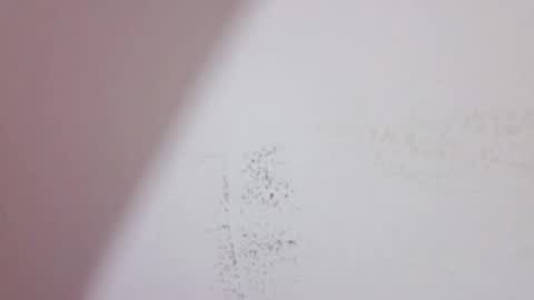 dolysex2026 online show from April 6, 12:06 pm