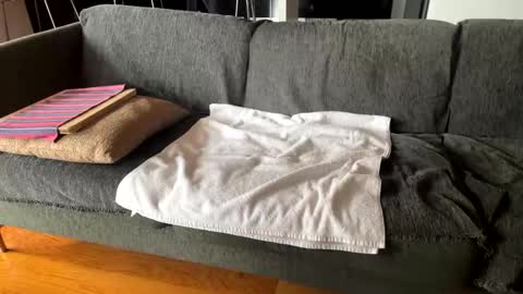 Alfredo online show from October 7, 10:11 am