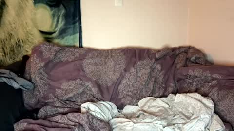 dove_love22 online show from October 7, 11:23 pm