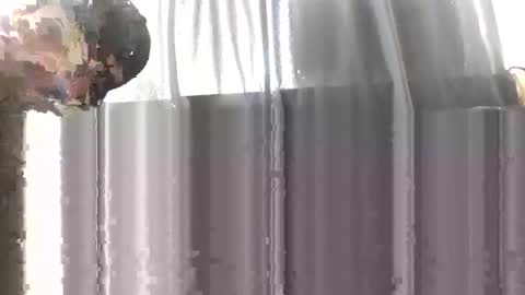 drew916627666 online show from January 16, 7:56 pm