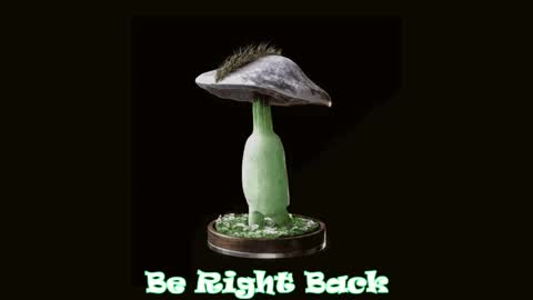 Tara  Sonny online show from September 14, 2:58 am