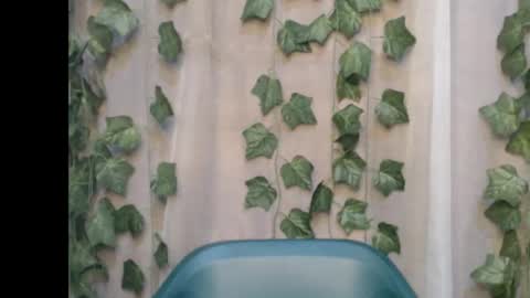 linda online show from September 14, 10:33 pm