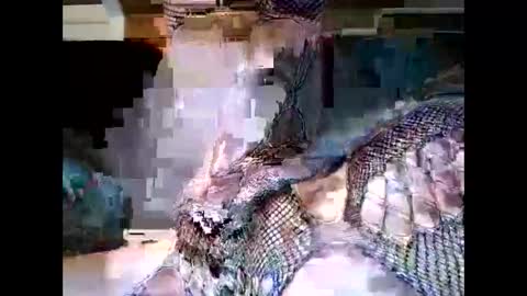 driver187 online show from December 19, 7:40 pm