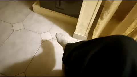 dthedog12 online show from March 1, 9:37 pm