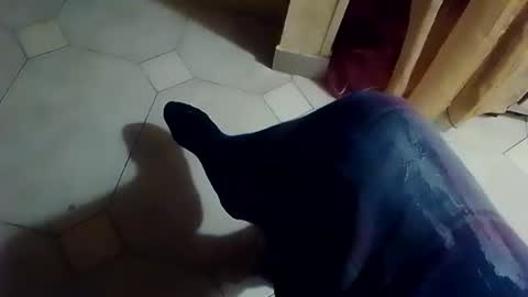 dthedog12 online show from February 8, 1:09 am