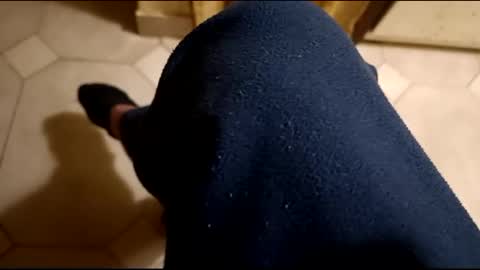 dthedog12 online show from February 21, 12:27 am