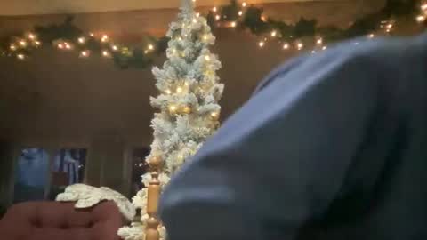 Steve online show from January 12, 9:55 pm