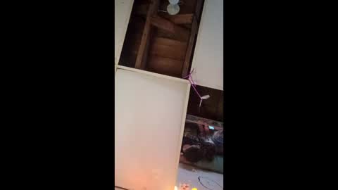 dukenbettykinks online show from April 17, 2:25 am