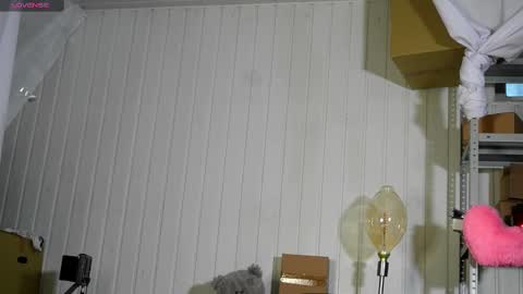 Dustyn online show from February 17, 2:06 pm