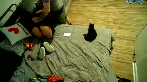 Kryztal Klear Jaxx online show from February 28, 6:23 pm