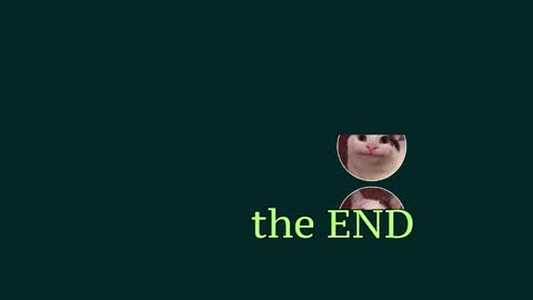 Vaco Eblidator online show from March 9, 2:21 pm