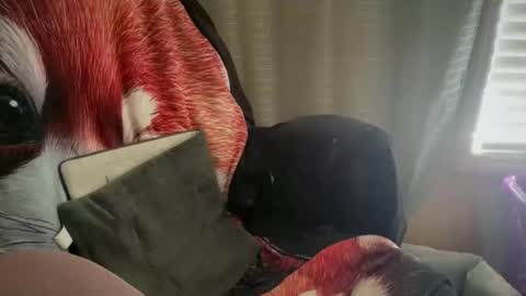 americnbarbie online show from October 25, 5:35 pm