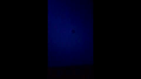 edgey_bear online show from February 6, 7:01 am
