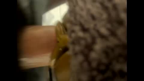 ehdgher online show from September 20, 11:35 am