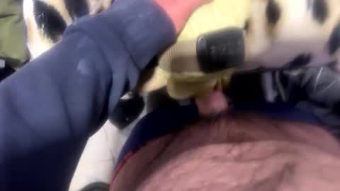 ehdgher online show from April 28, 10:08 am