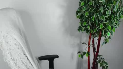 eileenmoores online show from November 5, 3:03 pm