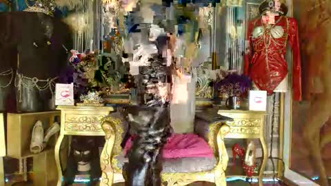 electracock online show from November 14, 1:08 am