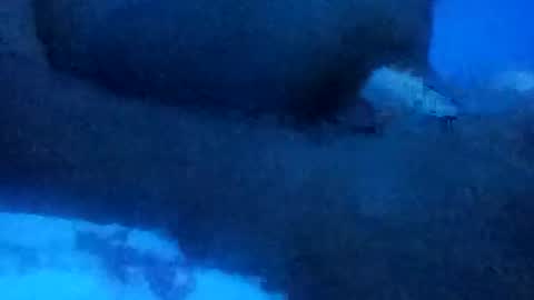 elesouza30 online show from September 30, 12:15 pm