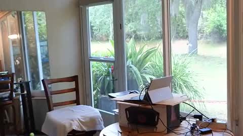 eliberator online show from May 3, 5:41 pm