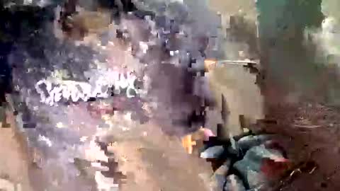 elina_roy03 online show from October 28, 2:12 am