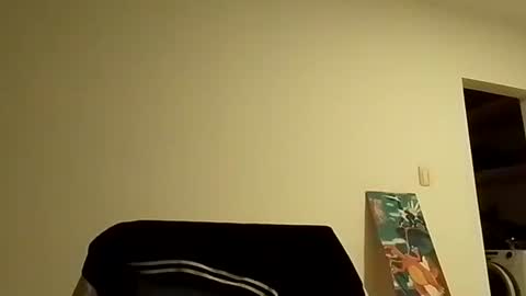 Rod online show from October 27, 2:44 am