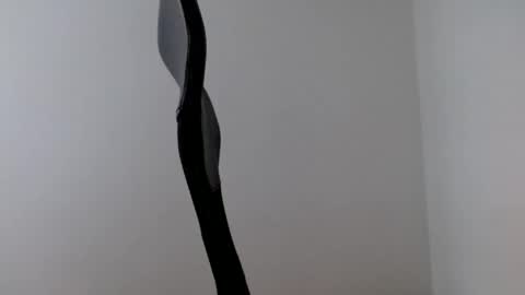 elosocazador online show from September 15, 1:01 pm